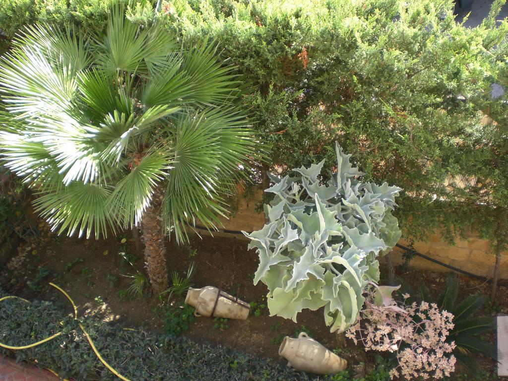 Bouganville San Leone Luaran gambar